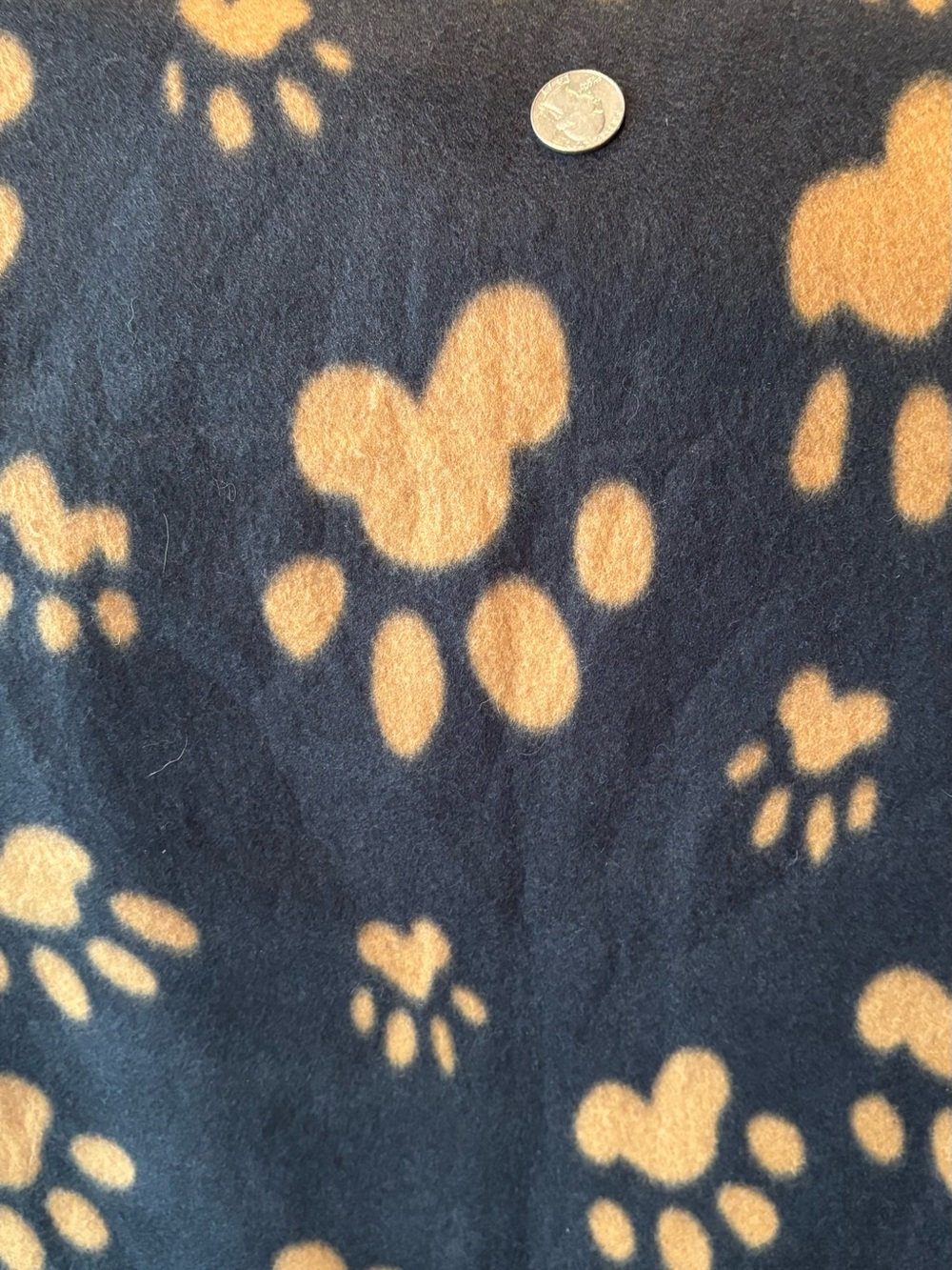 Black Fleece Fabric with  Paws Perfect for Your  Fur Baby 36”x60” New